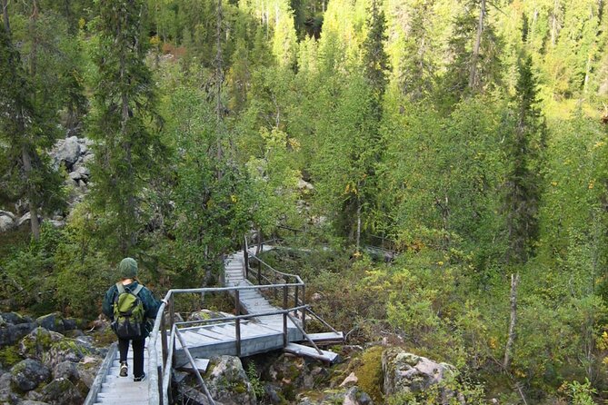 Rovaniemi Korouoma Canyon Hike and Barbecue Experience - From 9:00 am pickup to wilderness barbecue: how the day flows
