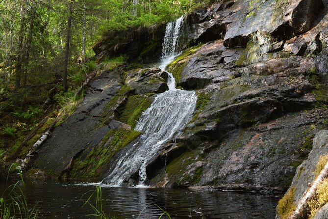 Rovaniemi Korouoma Canyon Hike and Barbecue Experience - The 4–6 km hike: fitness level, weather, and safety reality