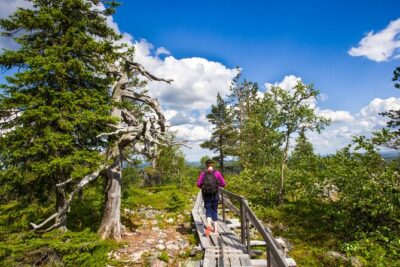 Rovaniemi Korouoma Canyon Hike and Barbecue Experience - Price and value: is $167.75 per person worth it?
