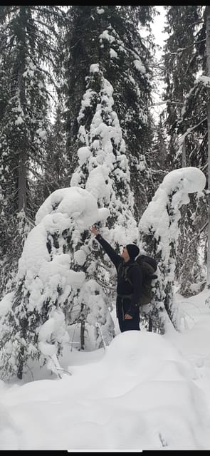 Rovaniemi: Korouoma Frozen Waterfalls Hike & Hot BBQ Lunch - Korouoma Canyon: Why This Frozen Day Trip Feels Special in Winter