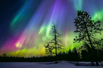 Rovaniemi: Lakeside Private Sauna with Aurora Borealis - The 3-hour flow in Rovaniemi (and what you’re really buying)