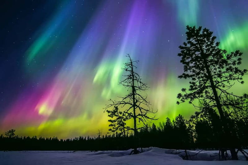 Rovaniemi: Lakeside Private Sauna with Aurora Borealis - The 3-hour flow in Rovaniemi (and what you’re really buying)