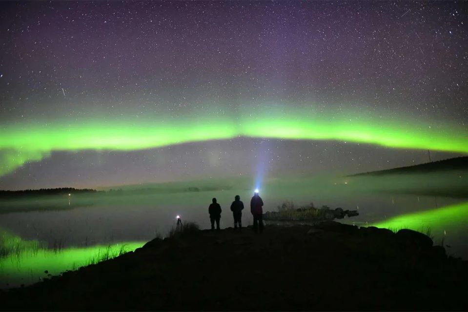 Rovaniemi: Lapland Northern Lights Tour with BBQ - Northern Lights and BBQ in Rovaniemi: why this 3-hour format works