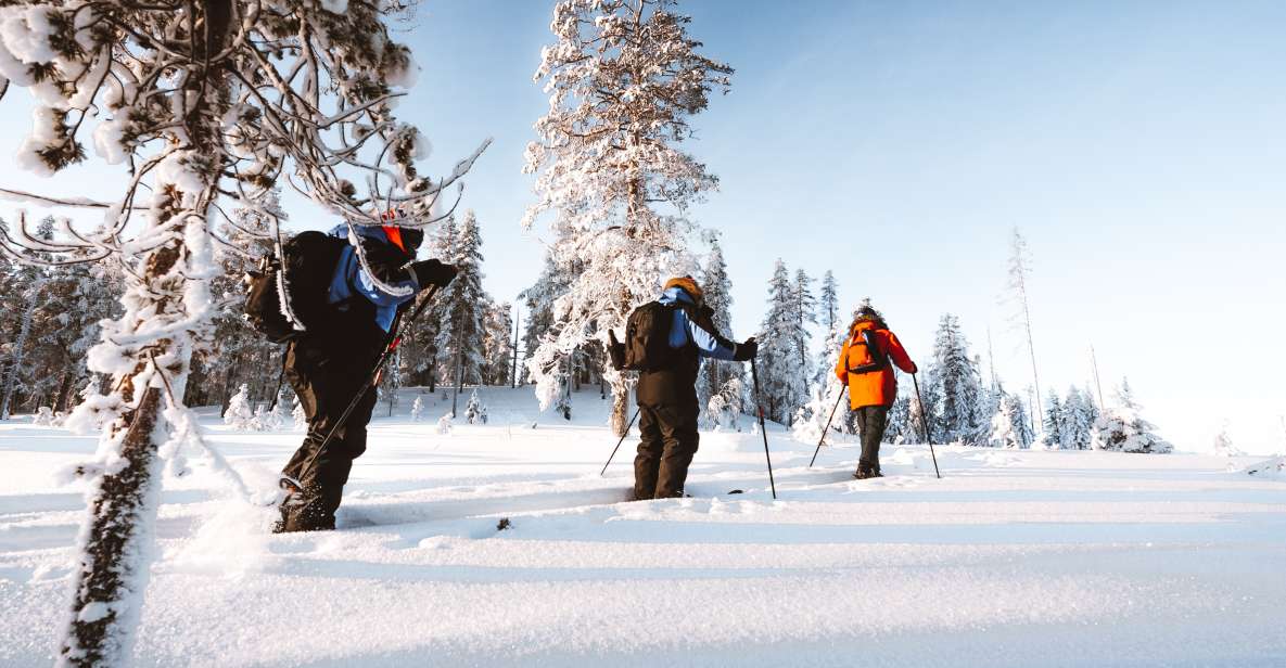 Rovaniemi: Lapland Ski Trekking Safari - Should You Book This Lapland Ski Trekking Safari?