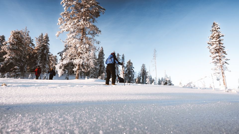 Rovaniemi: Lapland Ski Trekking Safari - Ski Trekking in Lapland: What This 4-Hour Safari Really Feels Like