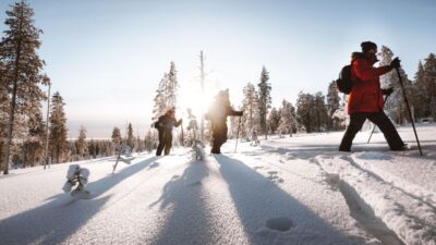 Rovaniemi: Lapland Ski Trekking Safari - Back-Country Skis With Skins: How Beginners Get Moving Fast