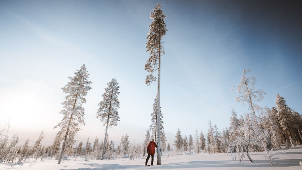 Rovaniemi: Lapland Ski Trekking Safari - Price and Value Check: Why $128 Works for a 4-Hour Arctic Skill Tour
