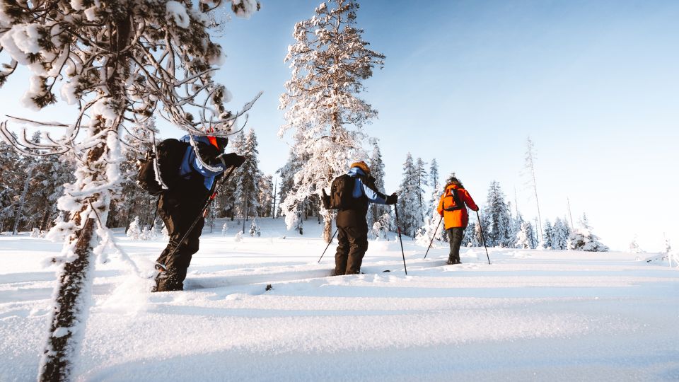 Rovaniemi: Lapland Ski Trekking Safari - Who Should Book This Ski Trekking Safari (and Who Should Skip It)