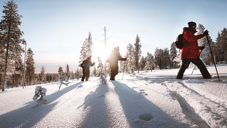 Rovaniemi: Lapland Ski Trekking Safari - Back-Country Skis With Skins: How Beginners Get Moving Fast