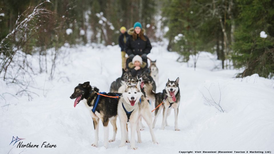 Rovaniemi: Meet Santa Claus, Reindeer Sleigh Ride & Huskies - Key things you should notice before you book