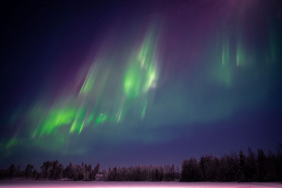 Rovaniemi: Night Sky lappish Barbecue - Who this night-sky barbecue is best for (and who should skip)