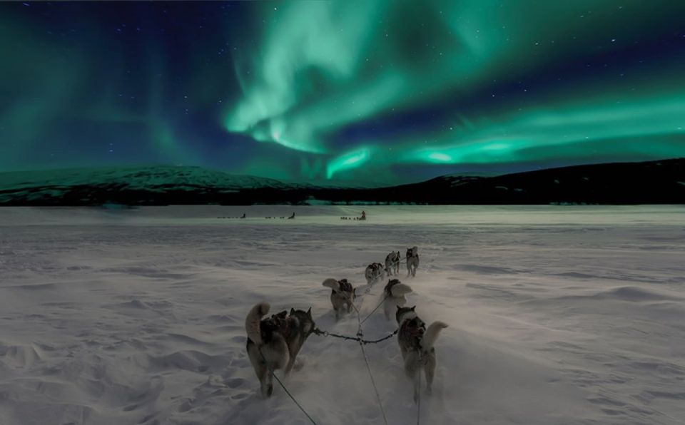 Rovaniemi: Northern Lights and Husky Sleigh Ride - Key highlights worth packing for