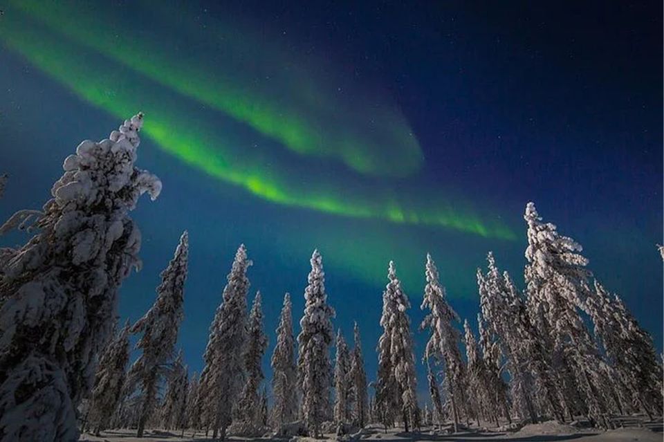 Rovaniemi: Northern Lights and Husky Sleigh Ride - Booking checklist: getting the best night without overthinking it