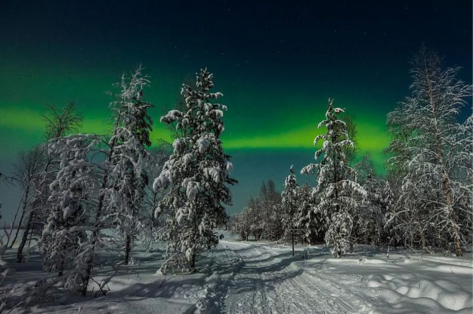 Rovaniemi: Northern Lights and Husky Sleigh Ride - A 3.5-hour night where huskies and auroras share the same plan