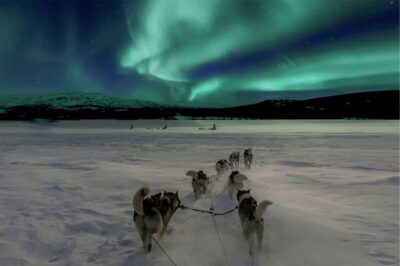 Rovaniemi: Northern Lights and Husky Sleigh Ride - Where you start in Rovaniemi and how to avoid the first stress moment
