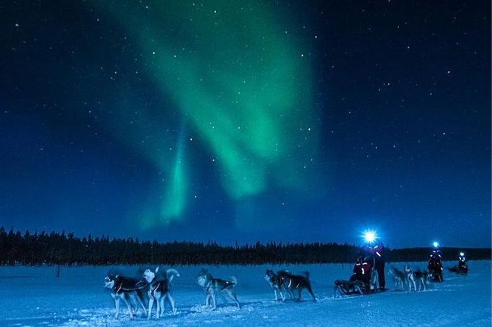 Rovaniemi: Northern Lights and Husky Sleigh Ride - The 5-km husky sleigh ride: the real Lapland payoff