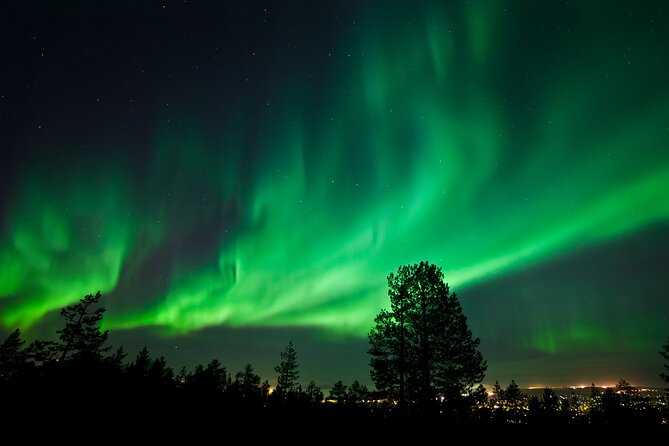 Rovaniemi: Northern Lights Group Tour - Guaranteed View - Group Size Up to 48: The Perks of Bigger Teams and the Trade-Off