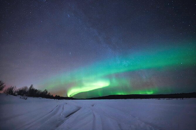 Rovaniemi: Northern Lights Group Tour - Guaranteed View - The Real Timing: When You Might Finally See Something