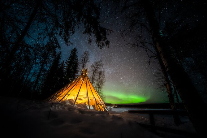 Rovaniemi Northern Lights Photography Small-Group Tour - Photo Stop Strategy: Viewpoints Chosen for Weather and Forecasts