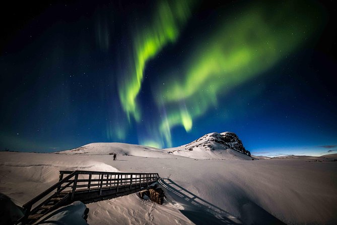 Rovaniemi Northern Lights Photography Small-Group Tour - The Photos You Get Back: Edited Results, Not Just Memories