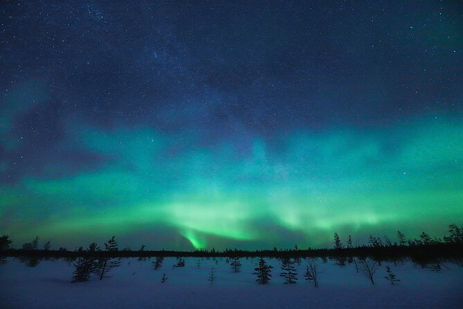 Rovaniemi: Northern Lights Pro Guaranteed - Unlimited Distance - Photo support that matters: from camera help to fast positioning