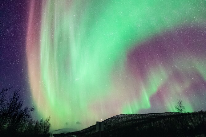 Rovaniemi: Northern Lights Pro Guaranteed - Unlimited (PRIVATE) - Private guide focus: DSLR-led aurora viewing with unlimited photos