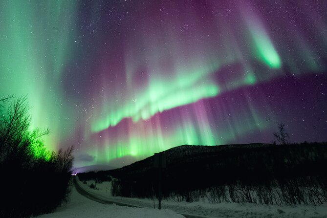 Rovaniemi: Northern Lights Pro Guaranteed - Unlimited (PRIVATE) - Chasing the lights without limits: why the driving strategy matters