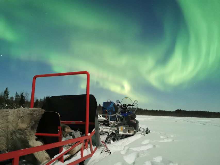 Rovaniemi: Northern Lights Sledge Ride - Northern Lights searching: how guides improve your odds