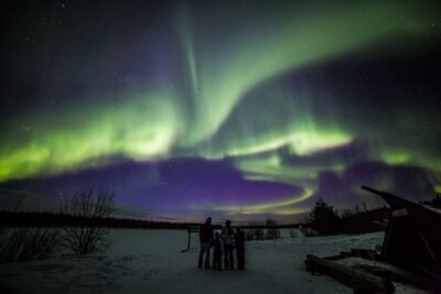 Rovaniemi: Northern Lights Sledge Ride - Arctic Forest sleigh riding: the calm part that makes it worth it
