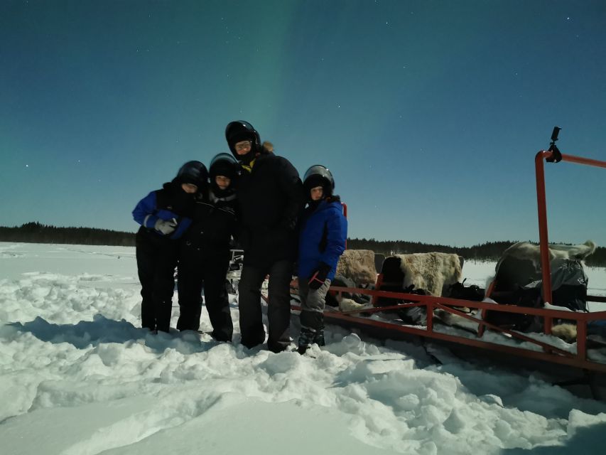 Rovaniemi: Northern Lights Sledge Ride - Price and value: is $90 fair for this much winter?