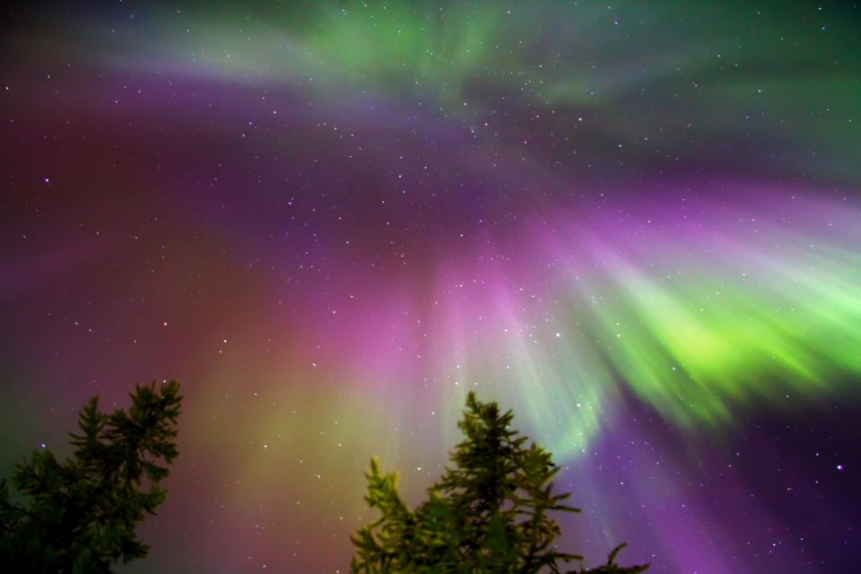 Rovaniemi: Northern Lights Sledge Ride - Should you book this tour, or pass on the aurora gamble?