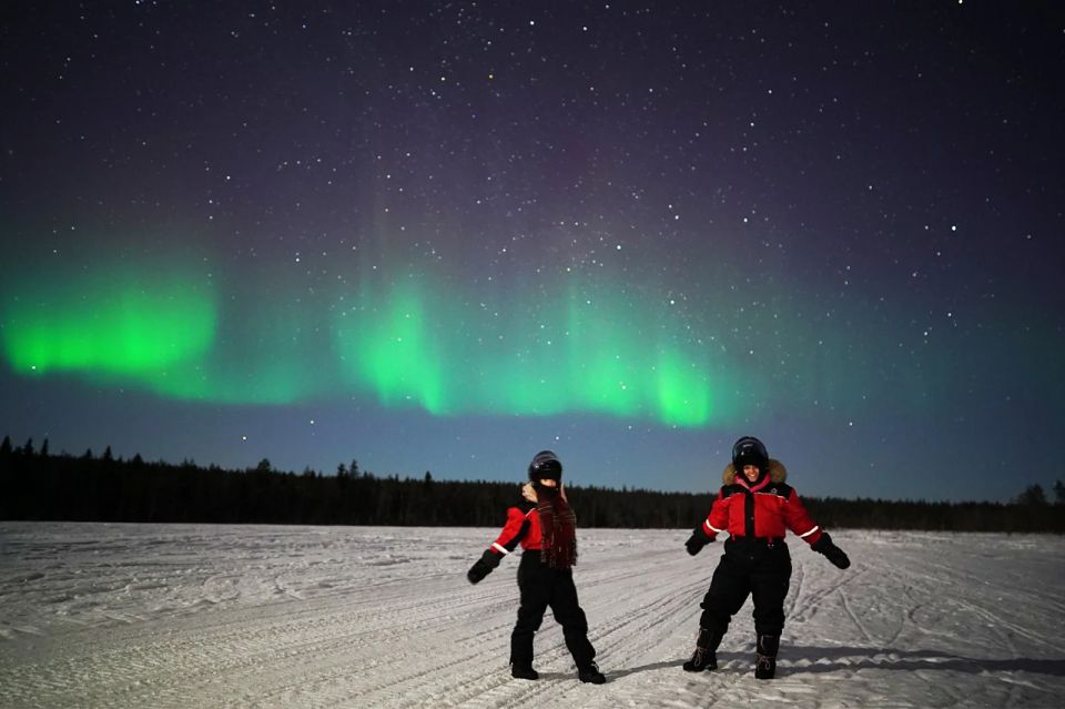 Rovaniemi: Northern Lights Sleigh Ride - Key Highlights You’ll Feel Immediately