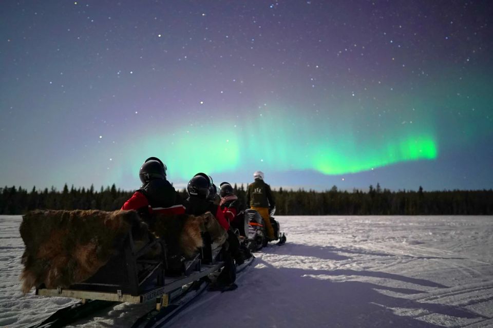 Rovaniemi: Northern Lights Sleigh Ride - Aurora Reality Check: How to Think About Success