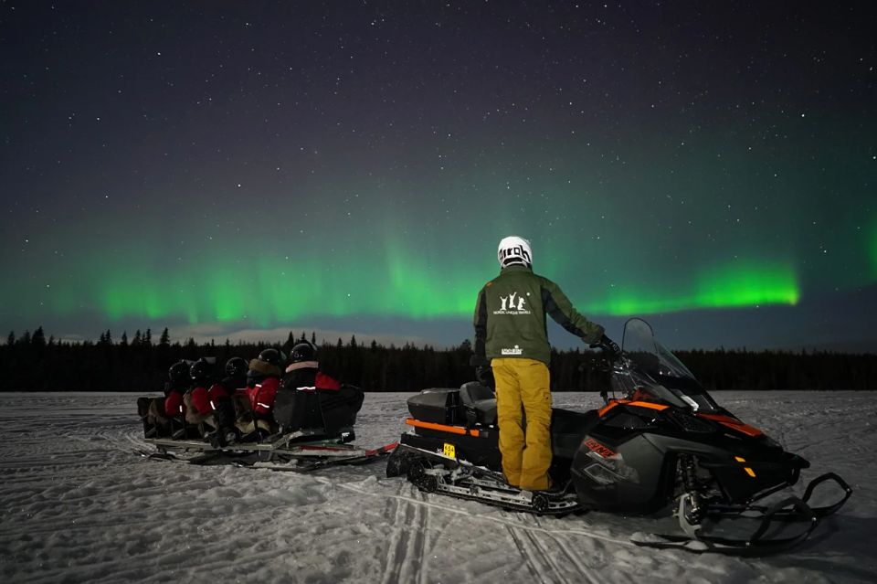 Rovaniemi: Northern Lights Sleigh Ride - Guides Matter: The Difference Between a Ride and an Experience
