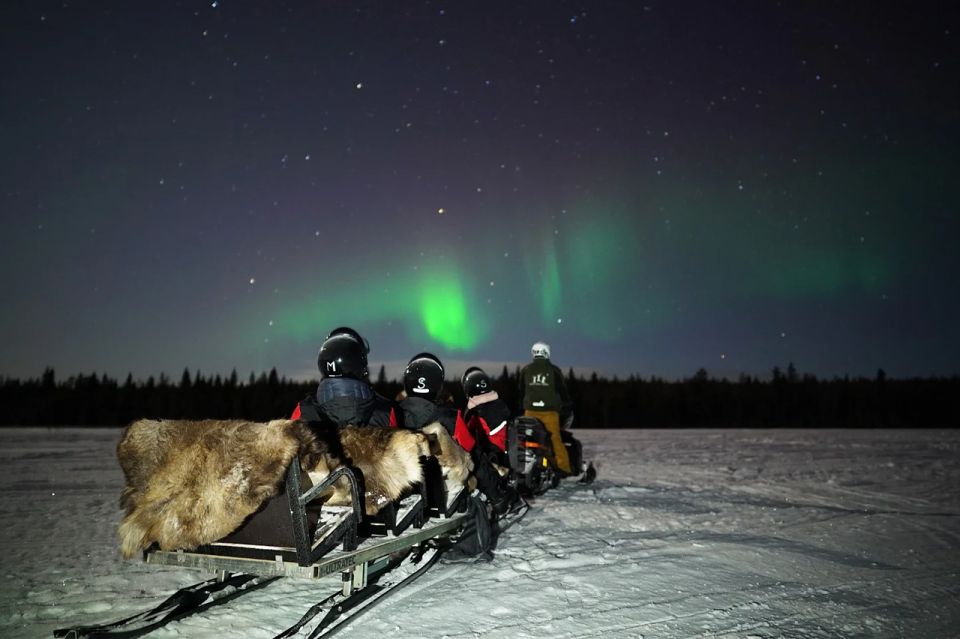 Rovaniemi: Northern Lights Sleigh Ride - Price and Value: What $58 Buys in Rovaniemi