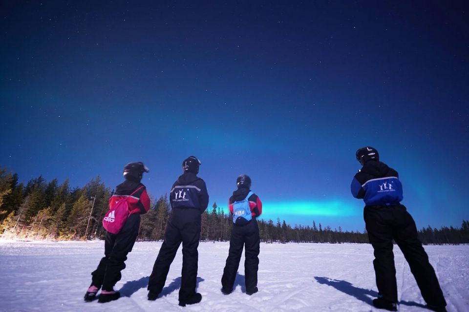 Rovaniemi: Northern Lights Sleigh Ride - Should You Book This Northern Lights Sleigh Ride?