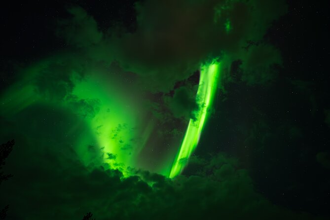 Rovaniemi: Northern Lights Small Group Money-Back Guarantee - Key things I’d track before you book