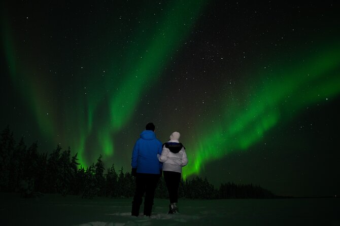 Rovaniemi: Northern Lights Tour - Key highlights worth knowing before you go