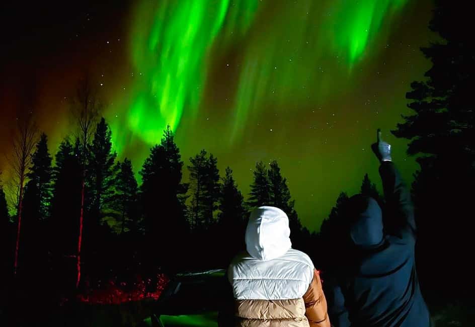 Rovaniemi: Northern Lights Tour with BBQ - Key Highlights at a Glance