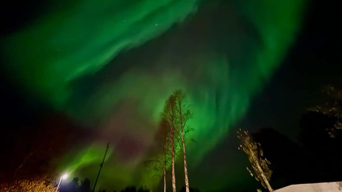Rovaniemi: Northern Lights Tour with BBQ - Photos and Guide Support: Turning a Guessing Game Into Keepsakes
