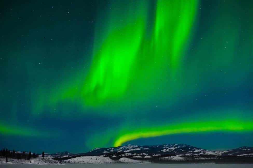 Rovaniemi: Northern Lights Tour with BBQ - Should You Book This Rovaniemi Northern Lights Tour?