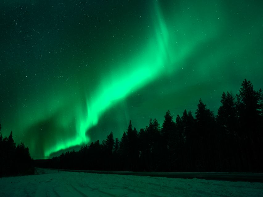 Rovaniemi: Northern Lights Tour with Guaranteed Sightings - Key Points Worth Booking For