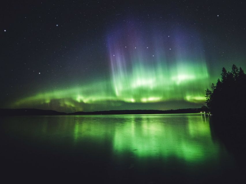 Rovaniemi: Northern Lights Tour with Guaranteed Sightings - The Human Factor: Guide Effort Changes Everything