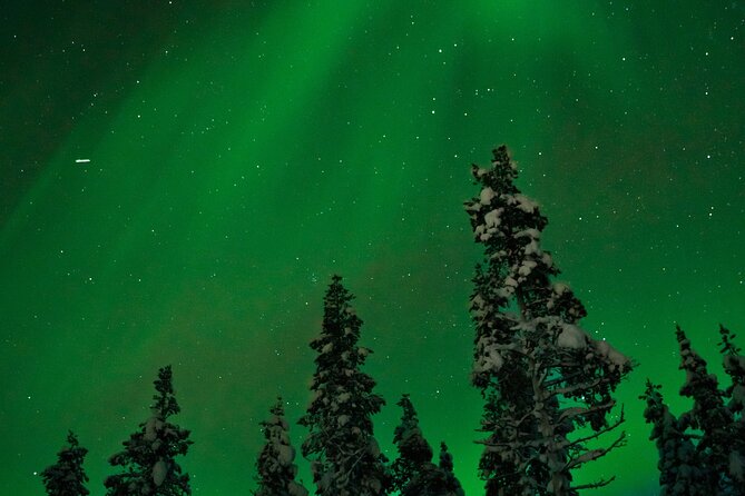 Rovaniemi: Northern Lights Tour - Heated bus, hot drinks, and leaving Rovaniemi’s glow