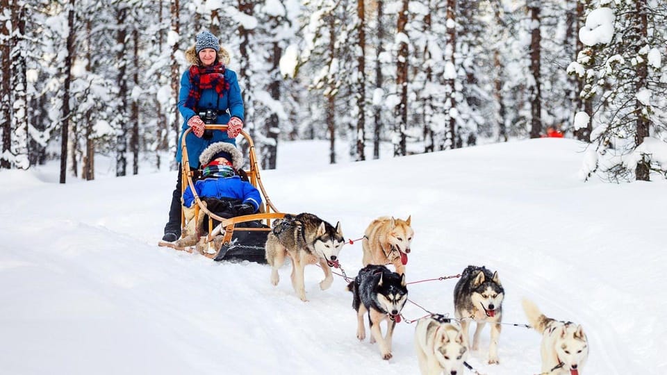 Rovaniemi: One Hour Husky Experience - Who This Is Best For (and Who May Want a Longer Safari)