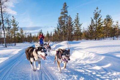 Rovaniemi: One Hour Husky Experience - Picking Up in Central Rovaniemi: Easy Transfers, Tight Timing