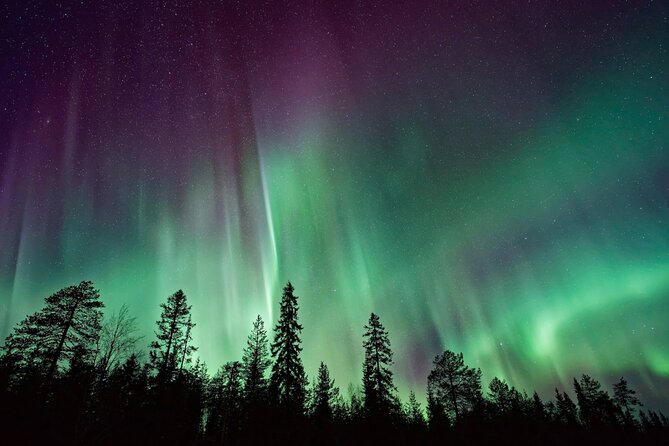 Rovaniemi: Private Aurora Tour with Guaranteed Sightings - The 8-Hour Reality Check: What “Time” Buys You at Night