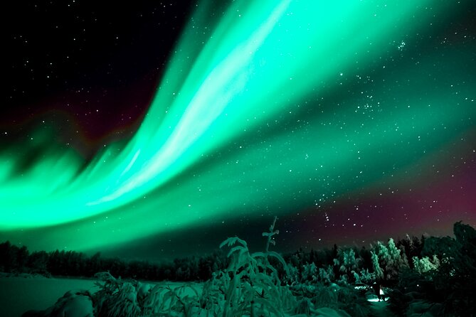Rovaniemi: Private Aurora Tour with Guaranteed Sightings - The 7:00 pm Night Setup: Pickup, Timing, and Staying Ready for Cold Weather