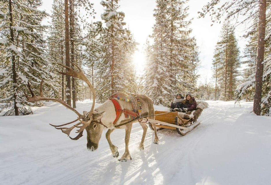 Rovaniemi: Reindeer Farm Visit and Sleigh Ride with transfer - Timing reality check: how the 2 hours feel on the ground