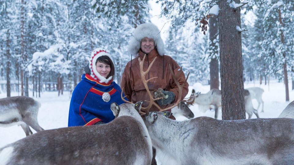 Rovaniemi: Reindeer Farm Visit and Sleigh Ride with transfer - Price and value: why $117 can still make sense